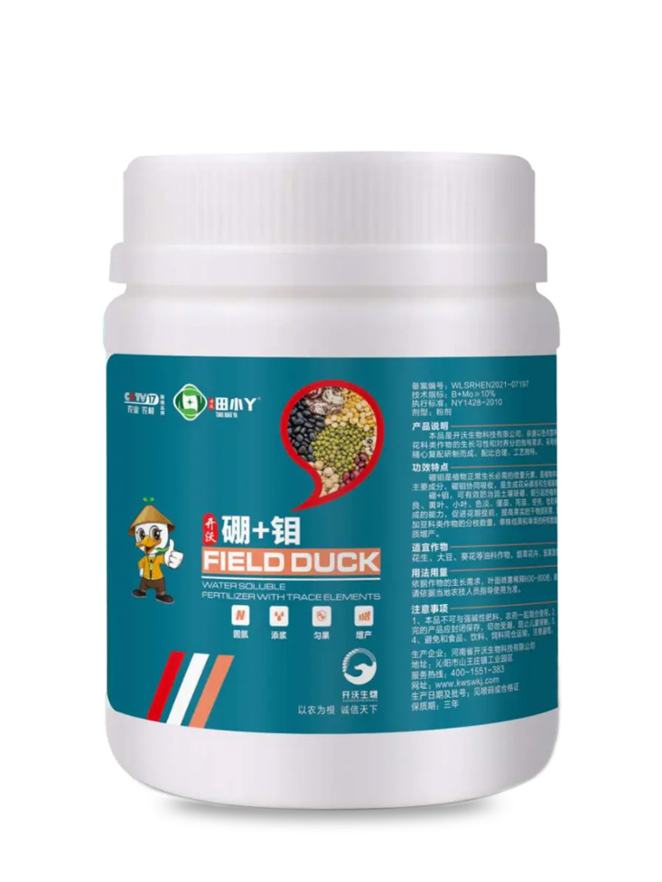 硼+鉬