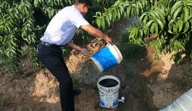 葉面噴施.jpg
