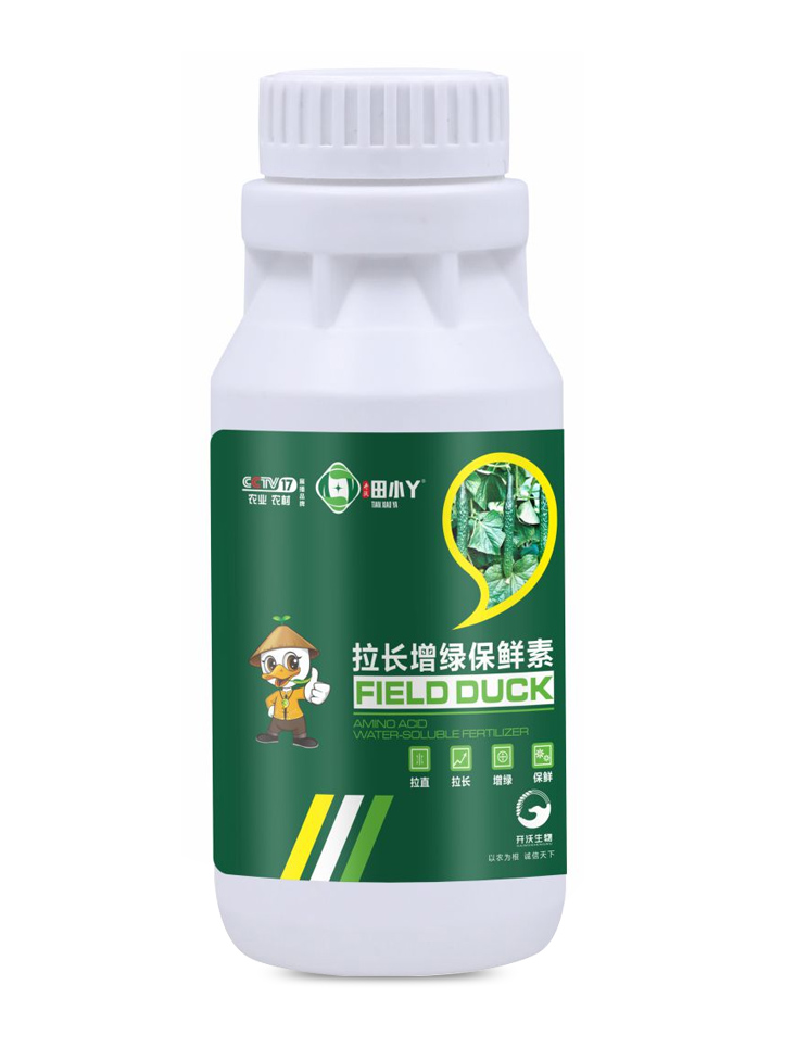 拉長增綠保鮮素