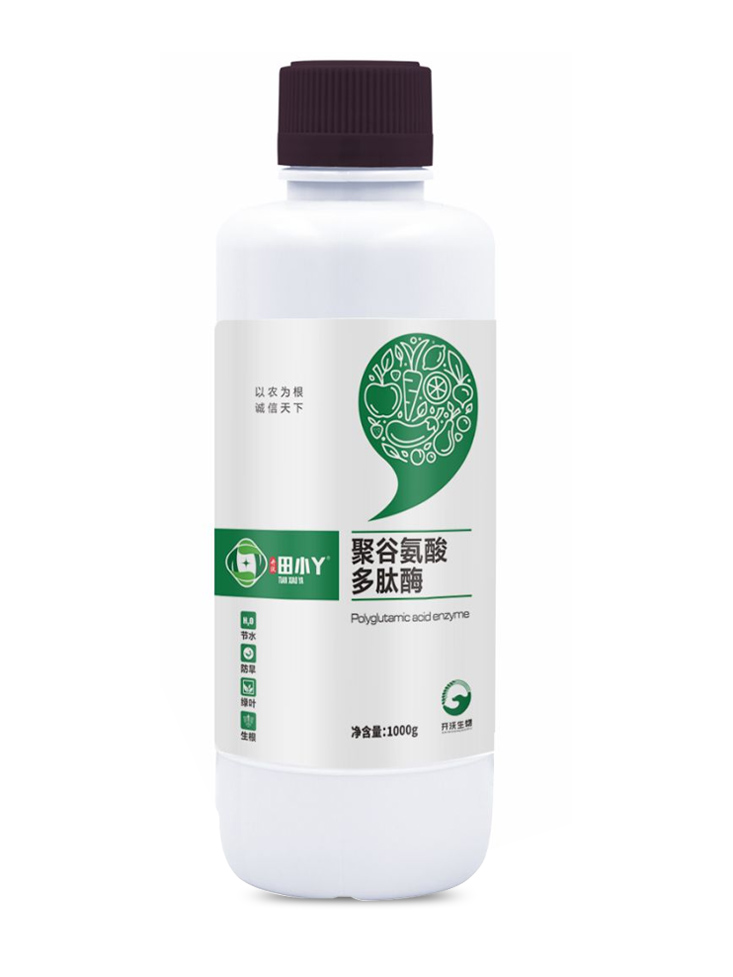 聚谷氨酸多肽酶