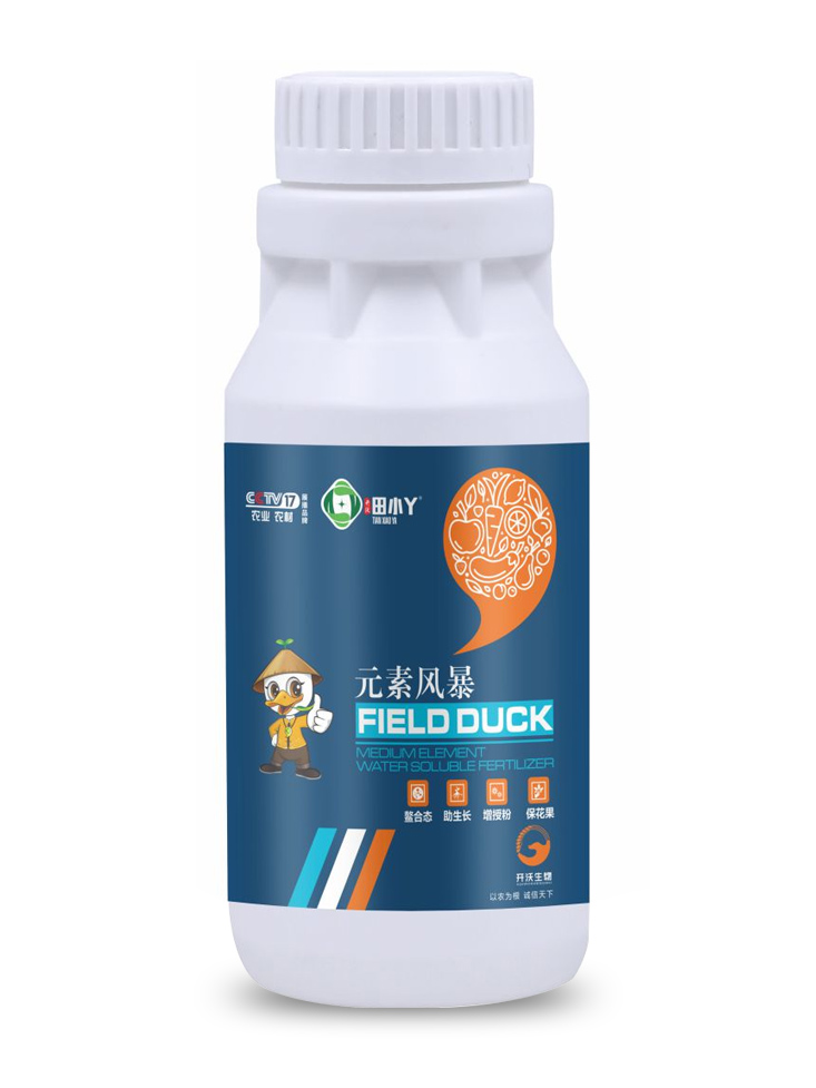 元素風暴