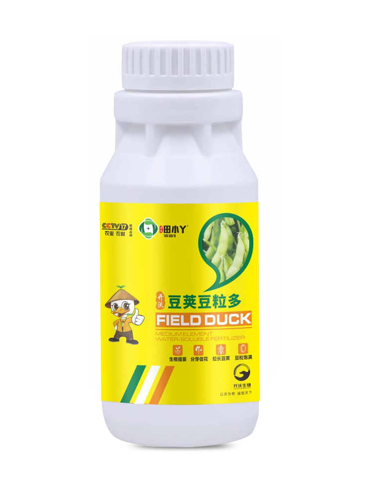 豆莢豆粒多