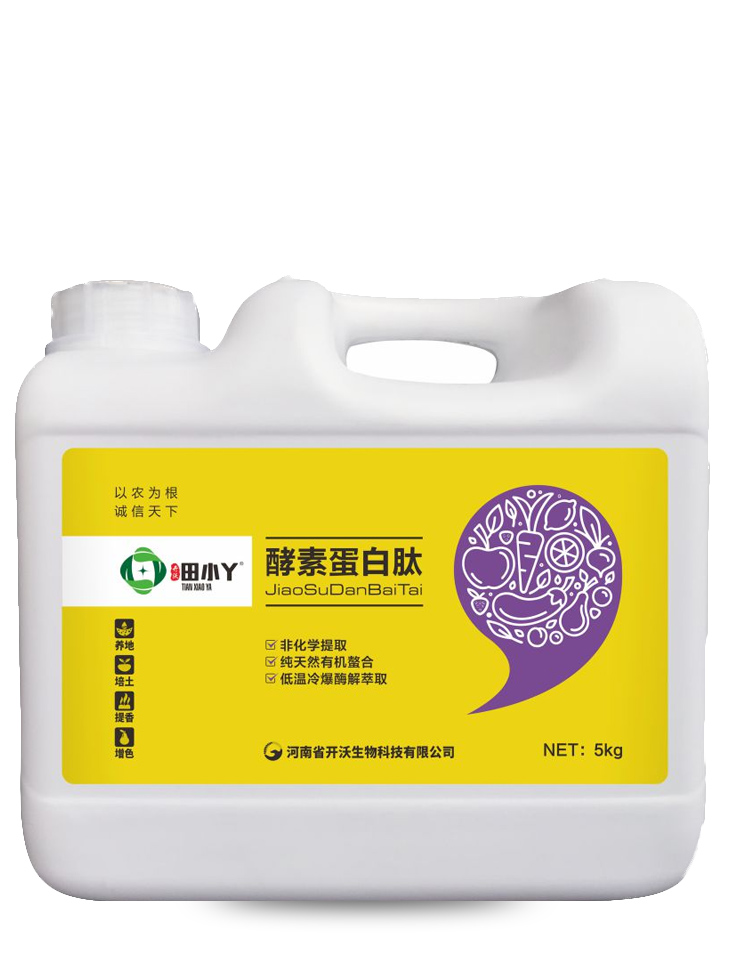 酵素蛋白肽