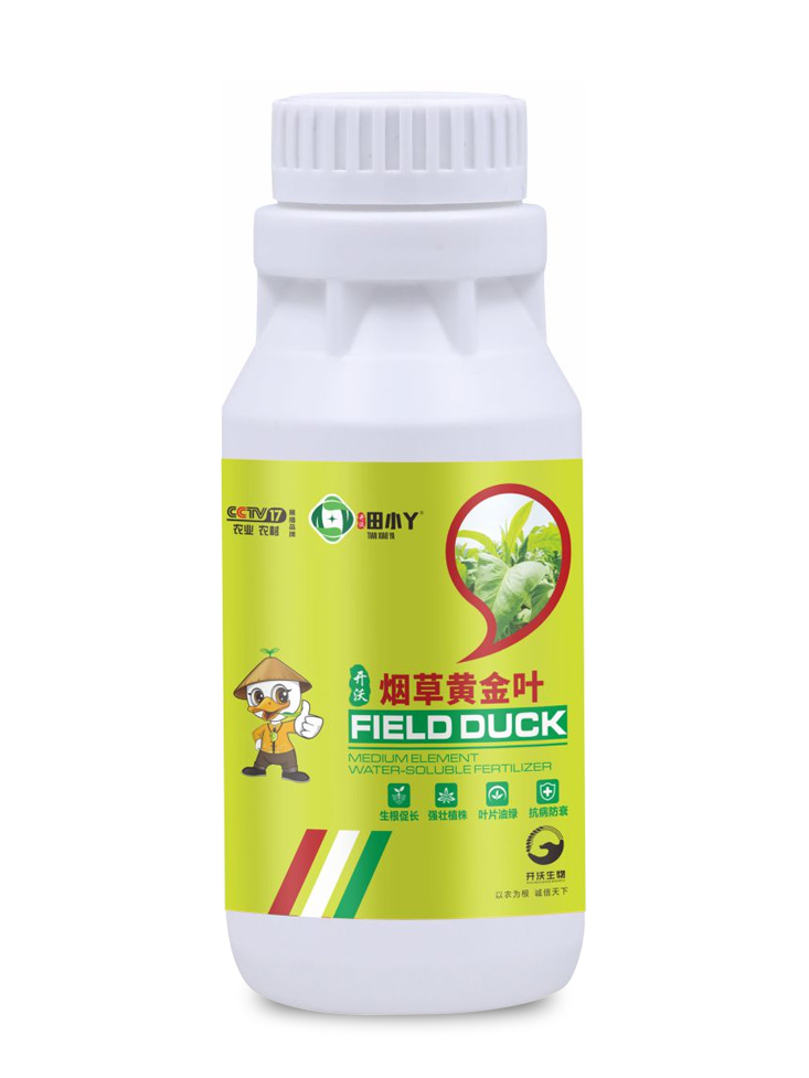 煙草黃金葉